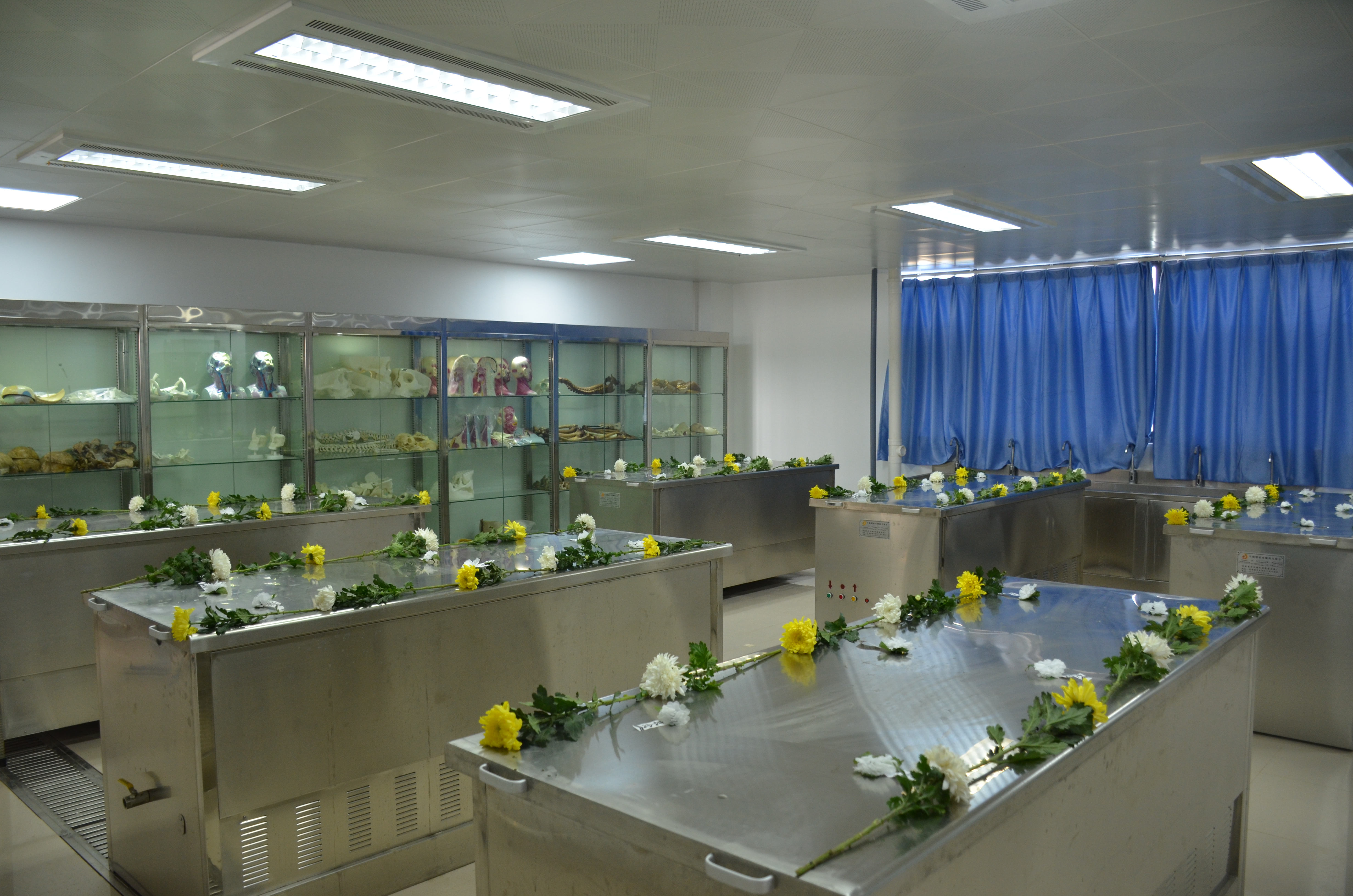 感恩"大体老师"